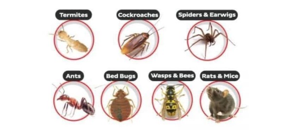 Sniper Bug Killer - Image 3